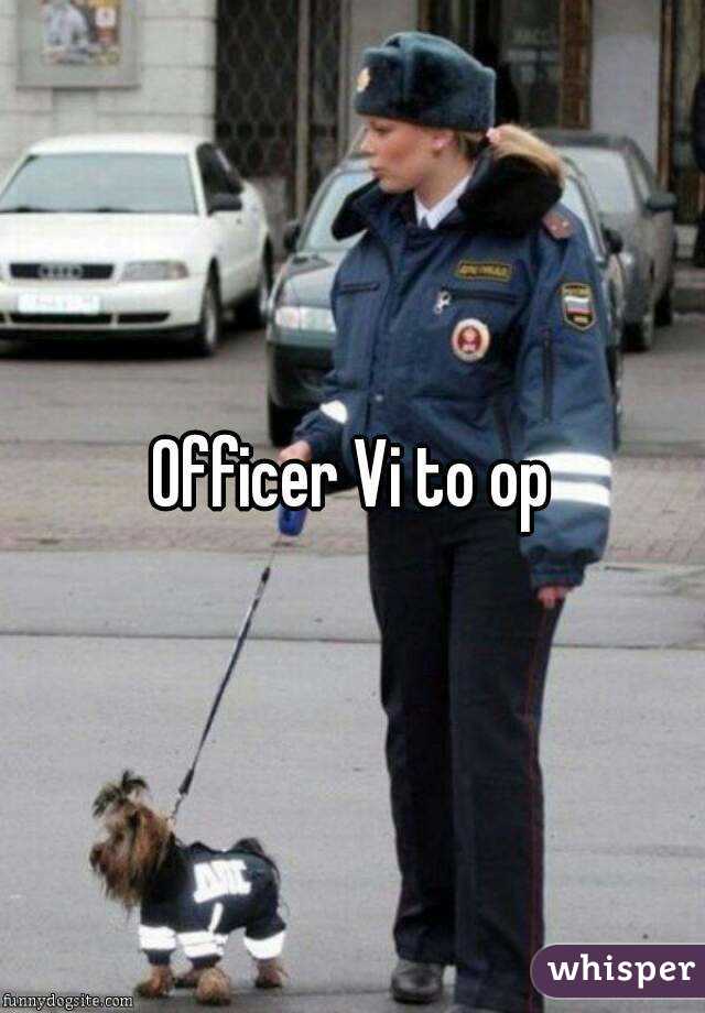 Officer Vi to op