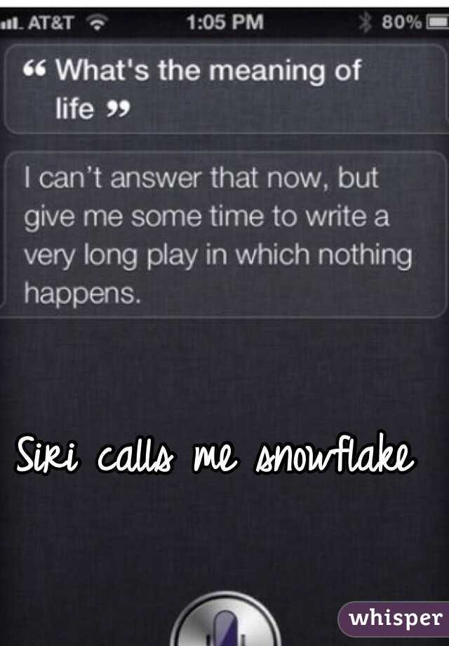 Siri calls me snowflake 