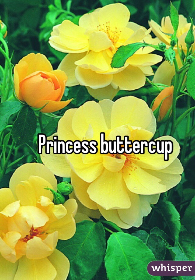 Princess buttercup 
