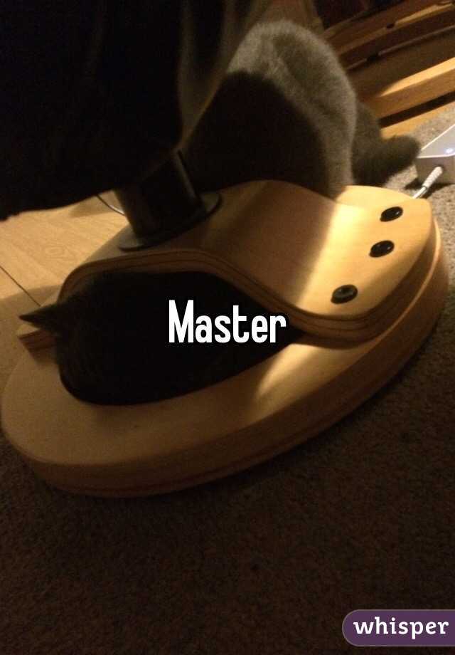 Master