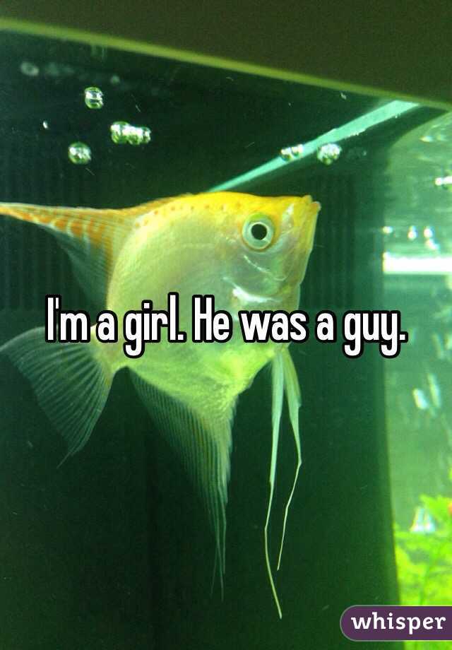 I'm a girl. He was a guy. 