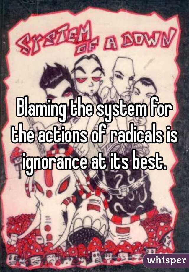 Blaming the system for the actions of radicals is ignorance at its best.