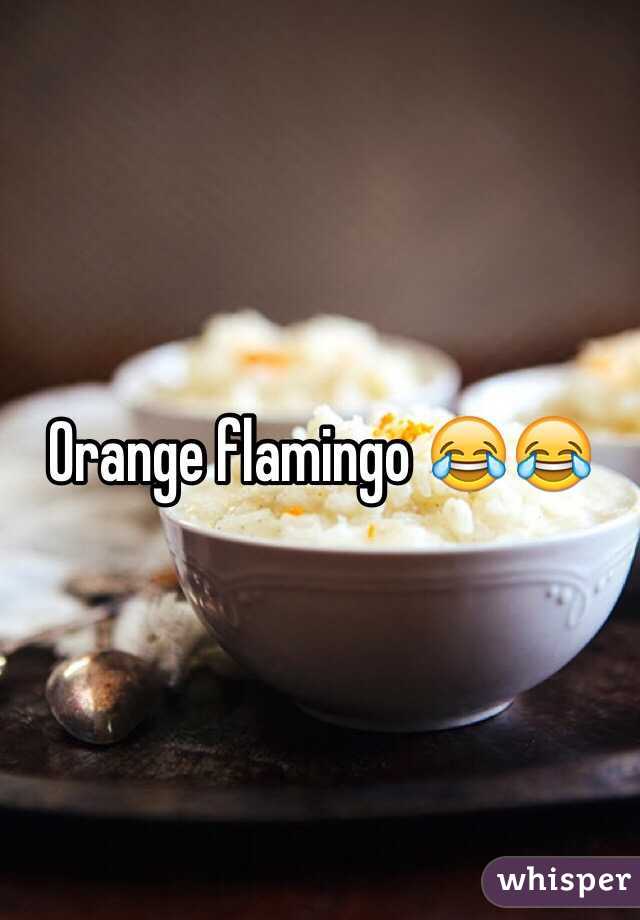 Orange flamingo 😂😂