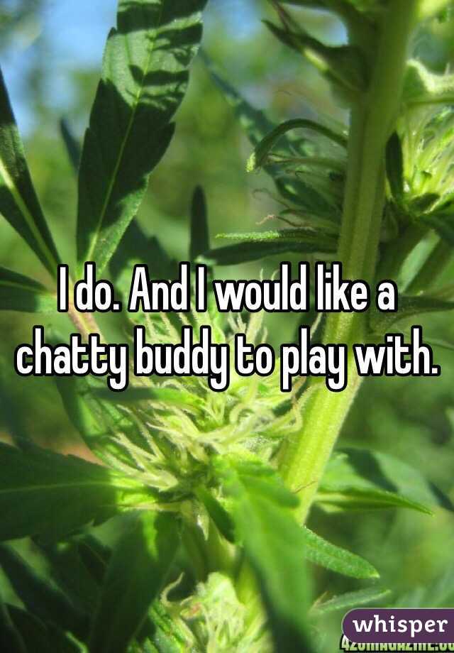 I do. And I would like a chatty buddy to play with.
