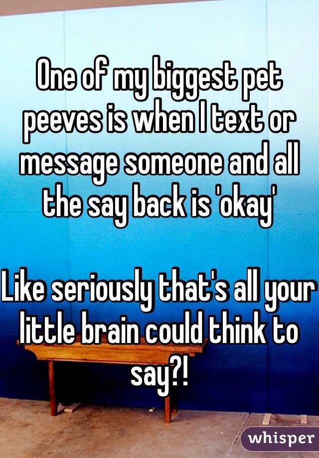 One of my biggest pet peeves is when I text or message someone and all the say back is 'okay'

Like seriously that's all your little brain could think to say?!