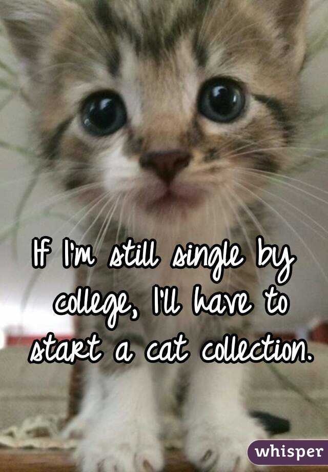 If I'm still single by college, I'll have to start a cat collection.