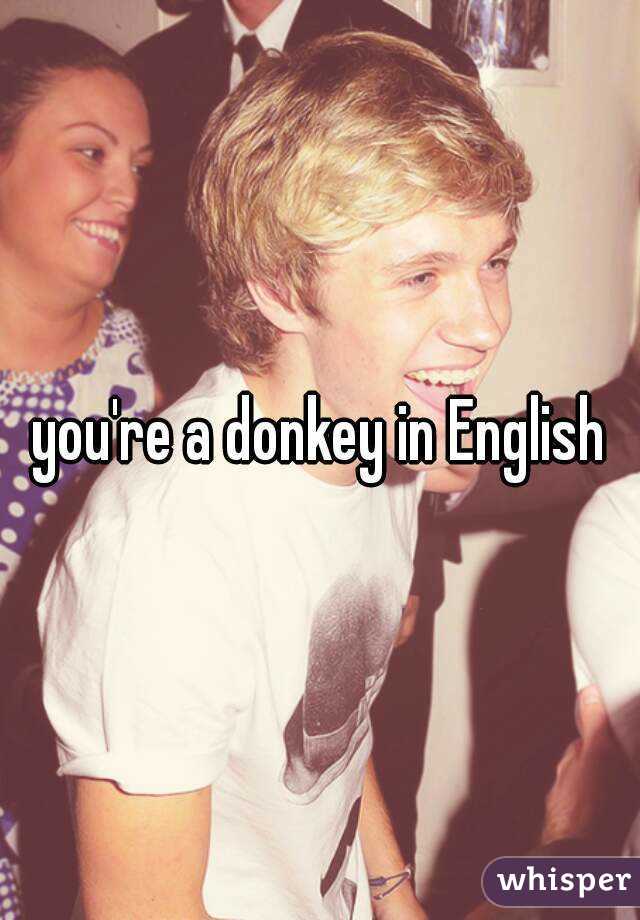 you're a donkey in English