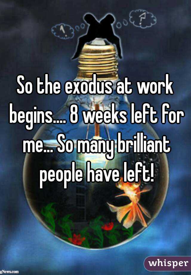 So the exodus at work begins.... 8 weeks left for me... So many brilliant people have left!