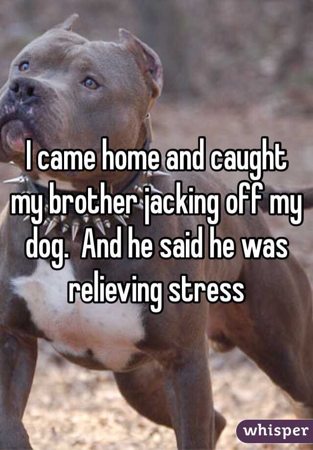 I came home and caught my brother jacking off my dog.  And he said he was relieving stress 