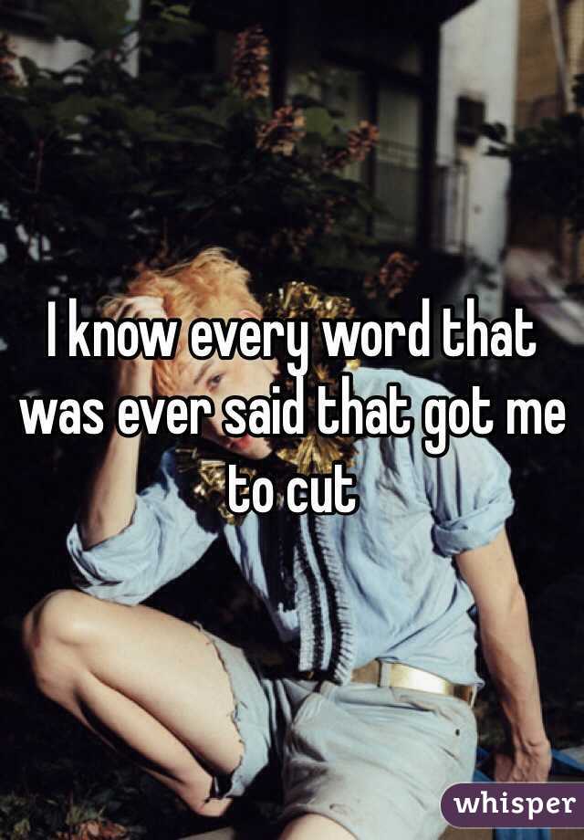 I know every word that was ever said that got me to cut