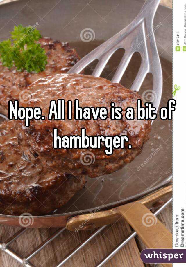 Nope. All I have is a bit of hamburger. 