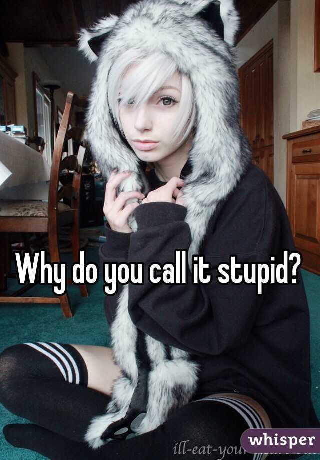 Why do you call it stupid?