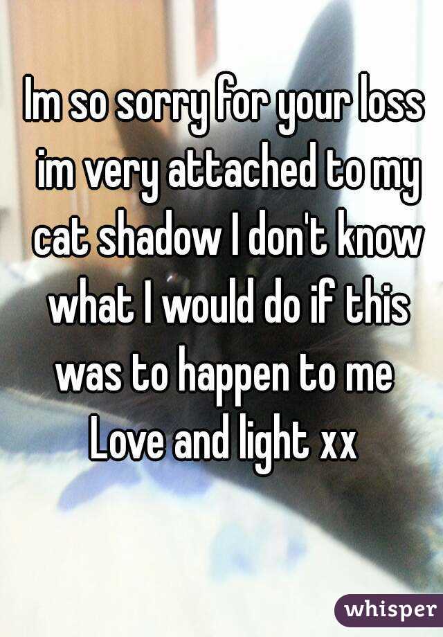 Im so sorry for your loss im very attached to my cat shadow I don't know what I would do if this was to happen to me 
Love and light xx