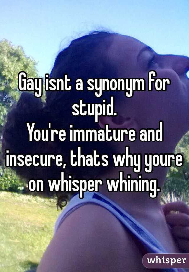 Gay isnt a synonym for stupid. 
You're immature and insecure, thats why youre on whisper whining. 