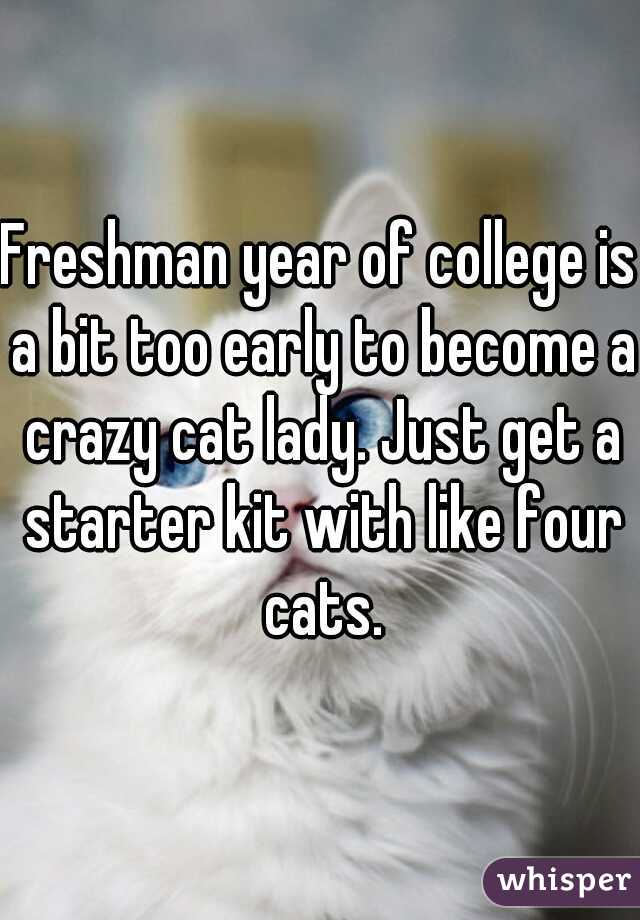 Freshman year of college is a bit too early to become a crazy cat lady. Just get a starter kit with like four cats.