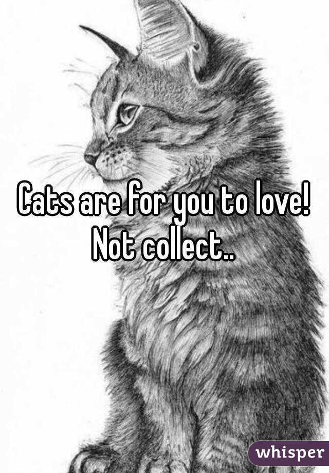 Cats are for you to love! Not collect.. 