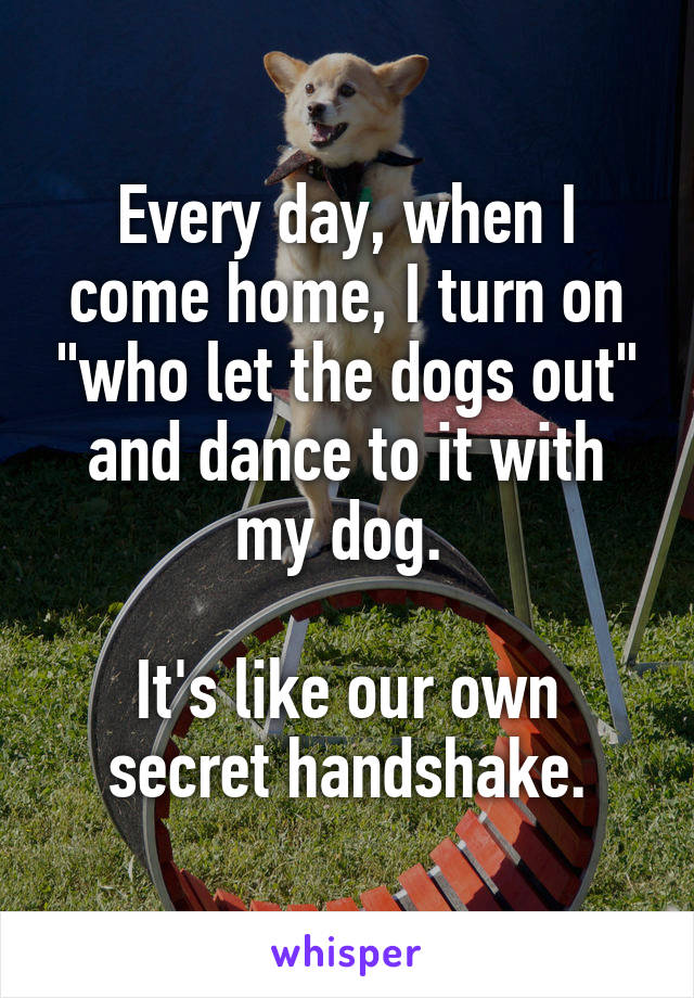 Every day, when I come home, I turn on "who let the dogs out" and dance to it with my dog. 

It's like our own secret handshake.