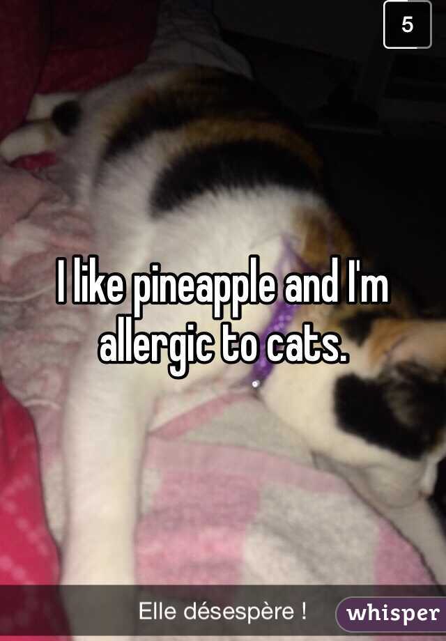 I like pineapple and I'm allergic to cats. 