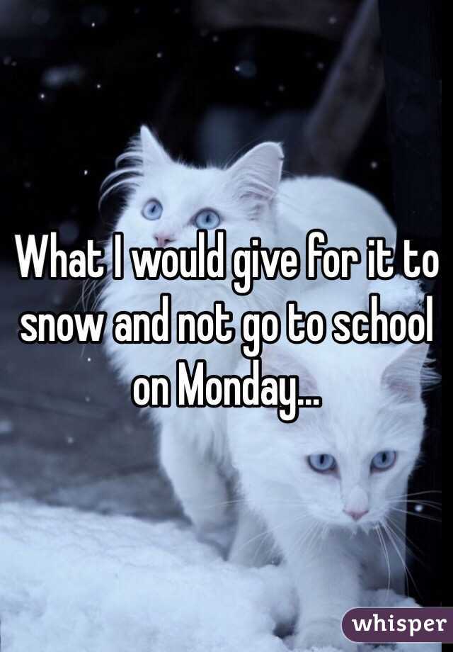 What I would give for it to snow and not go to school on Monday... 