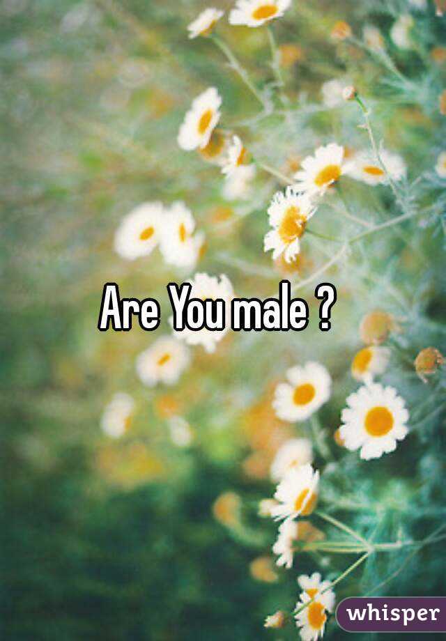 Are You male ? 