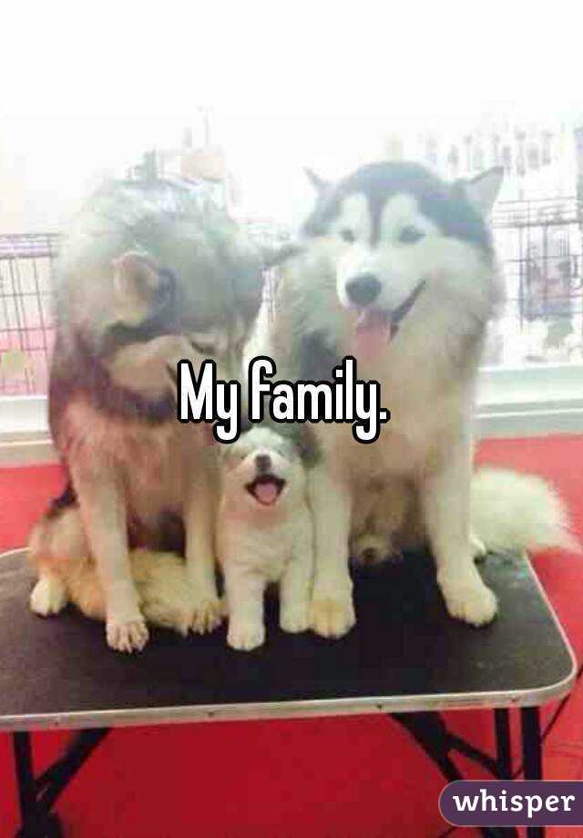 My family. 