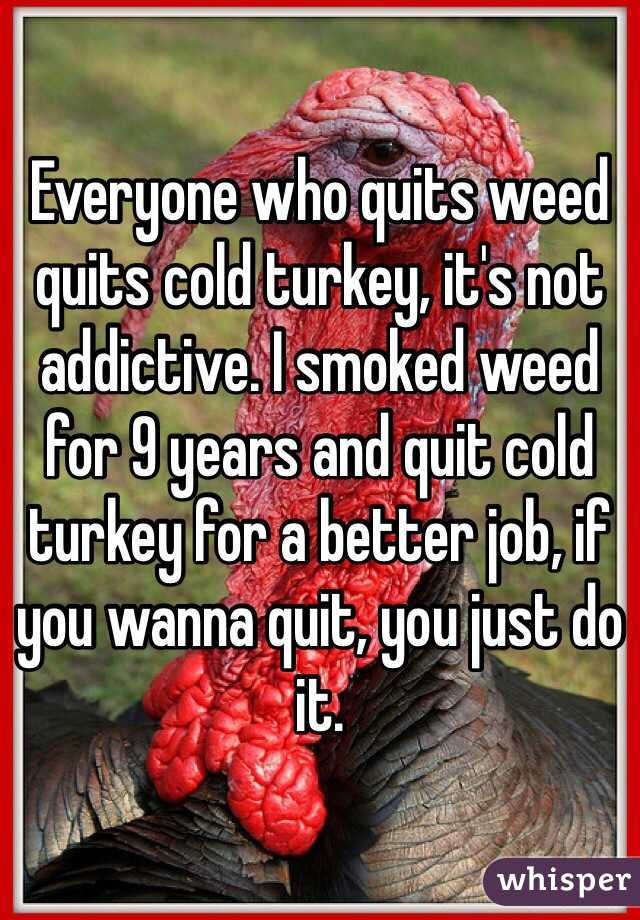 everyone-who-quits-weed-quits-cold-turkey-it-s-not-addictive-i-smoked