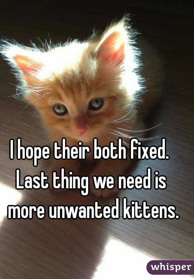 I hope their both fixed. 
Last thing we need is more unwanted kittens.