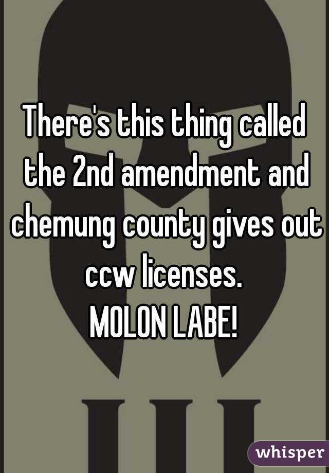 There's this thing called the 2nd amendment and chemung county gives out ccw licenses. 
MOLON LABE!