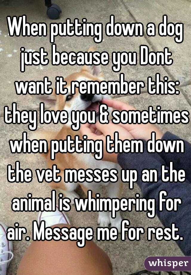 When putting down a dog just because you Dont want it remember this: they love you & sometimes when putting them down the vet messes up an the animal is whimpering for air. Message me for rest. 