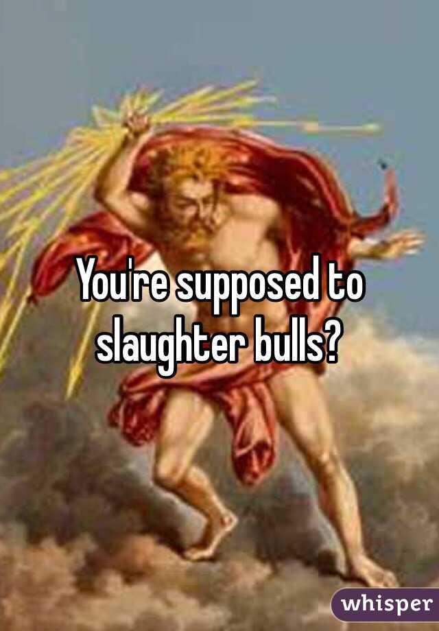 You're supposed to slaughter bulls?