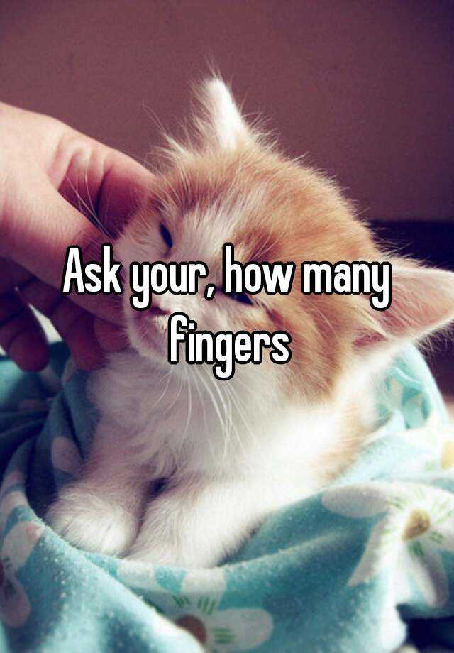 ask-your-how-many-fingers