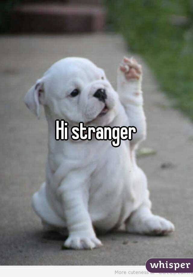 Hi stranger
