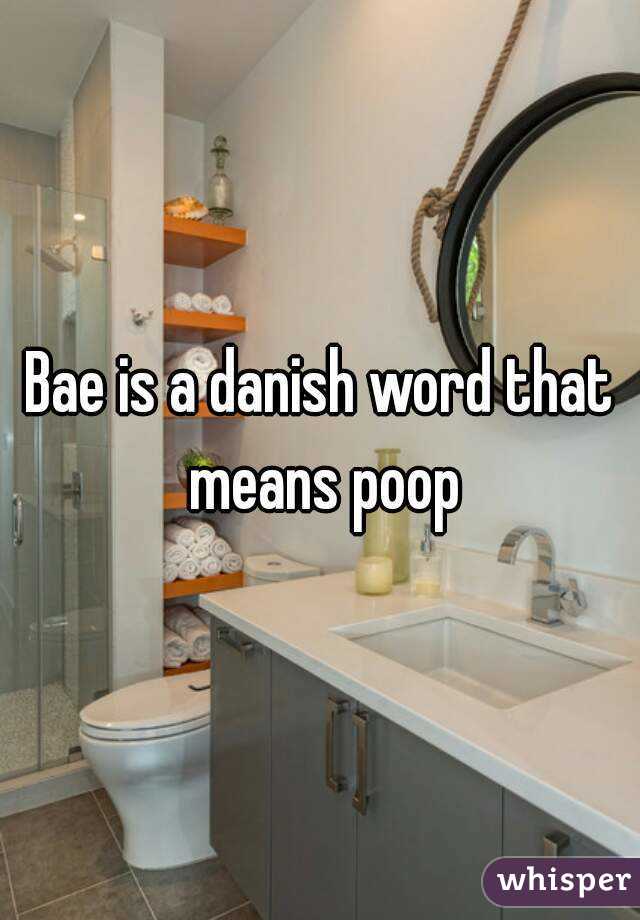 Bae is a danish word that means poop