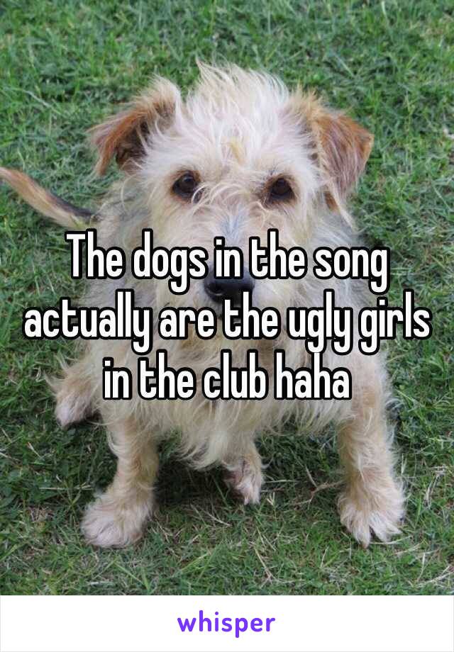 The dogs in the song actually are the ugly girls in the club haha