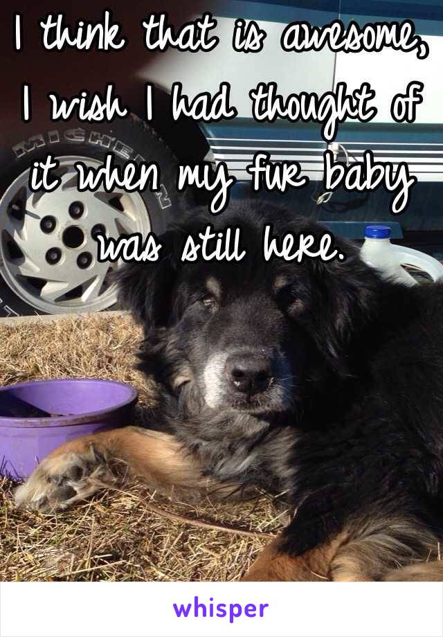 I think that is awesome, I wish I had thought of it when my fur baby was still here.