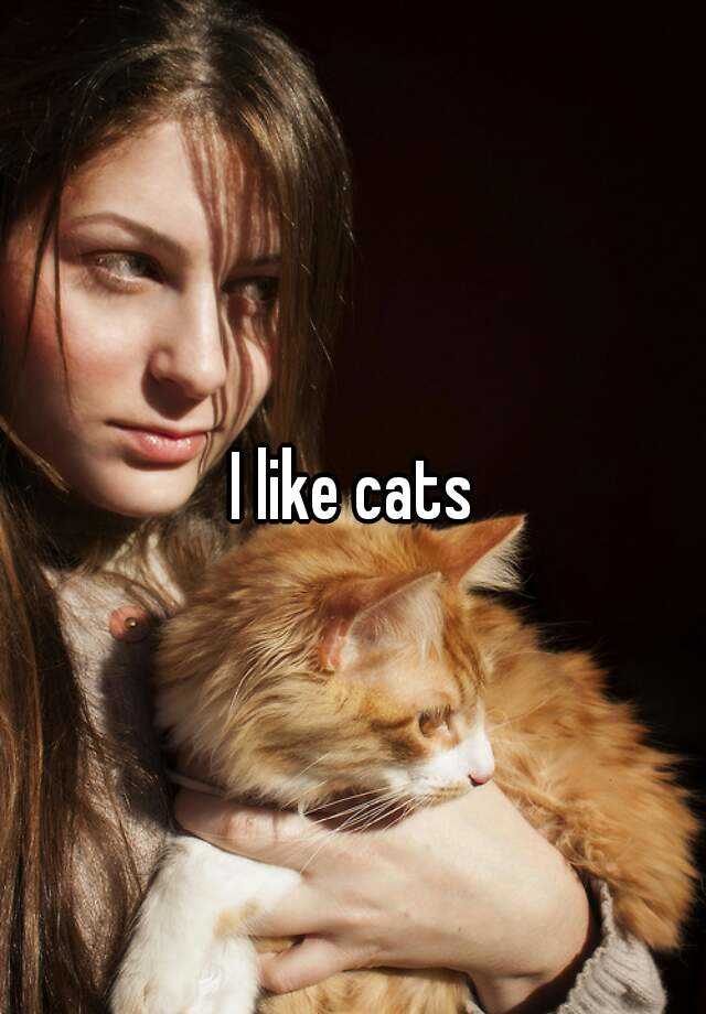 i-like-cats-meme-joke-youtube