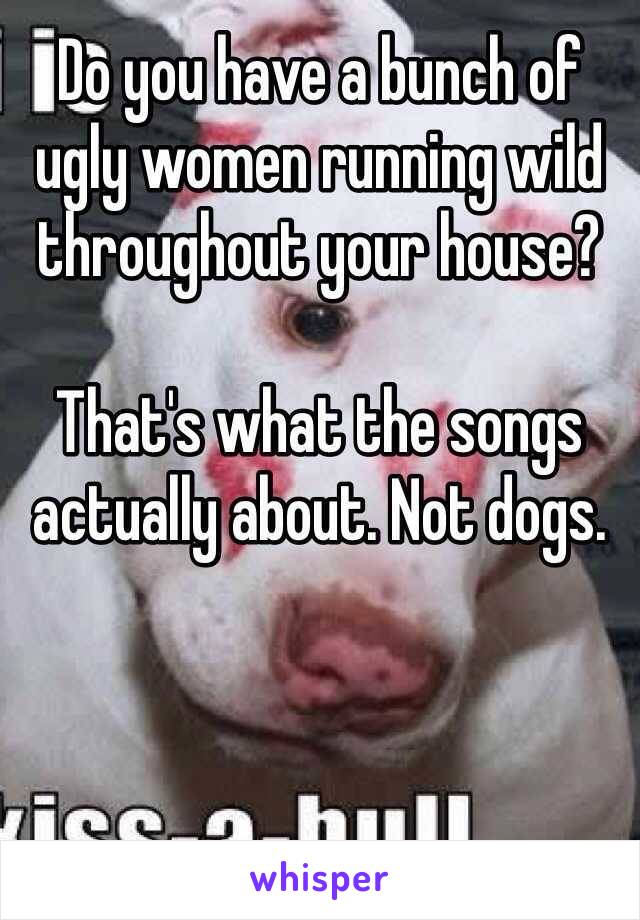 Do you have a bunch of ugly women running wild throughout your house?

That's what the songs actually about. Not dogs.