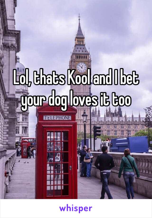 Lol, thats Kool and I bet your dog loves it too