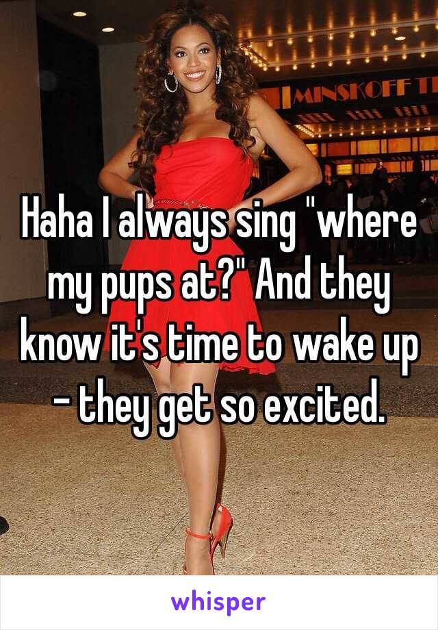 Haha I always sing "where my pups at?" And they know it's time to wake up - they get so excited. 