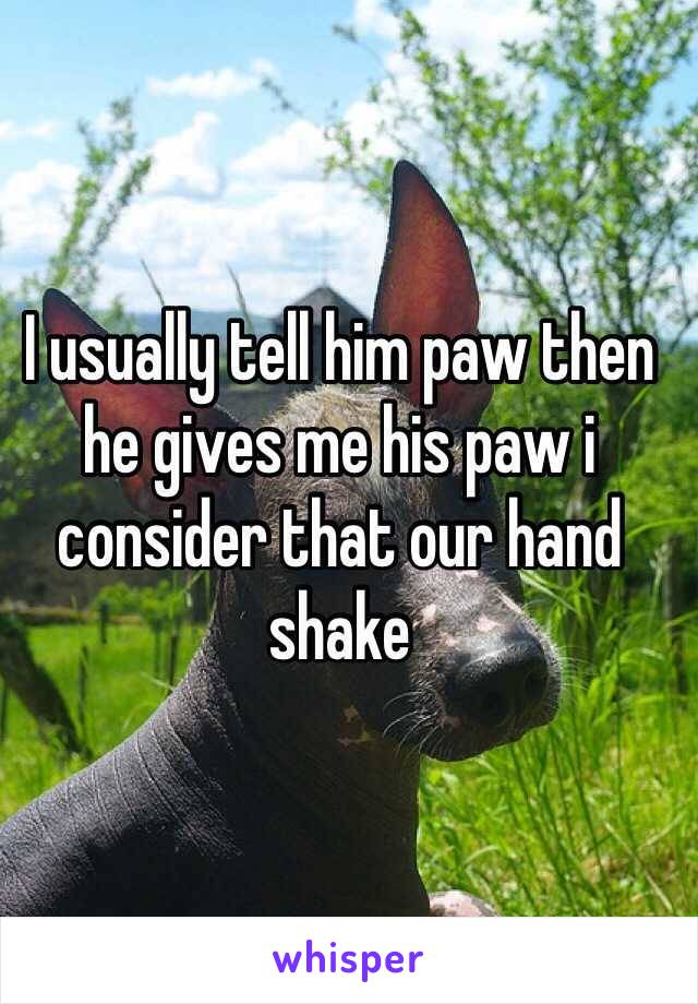 I usually tell him paw then he gives me his paw i consider that our hand shake  