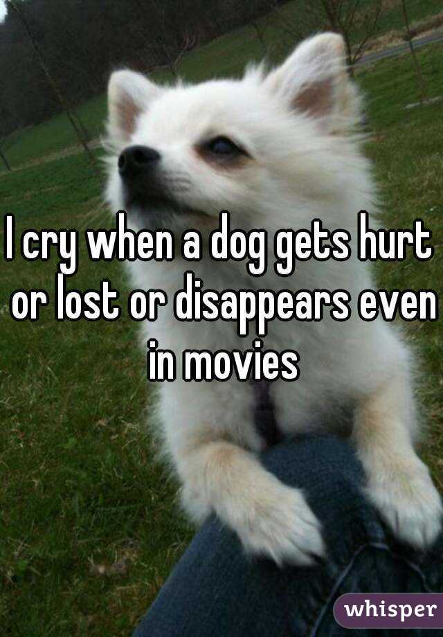 I cry when a dog gets hurt or lost or disappears even in movies