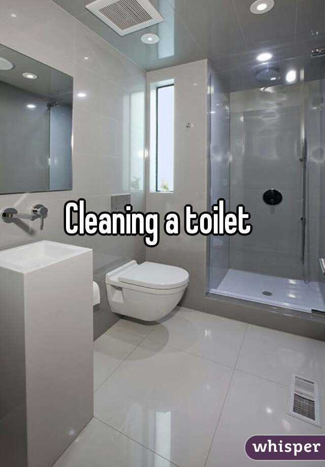 Cleaning a toilet 