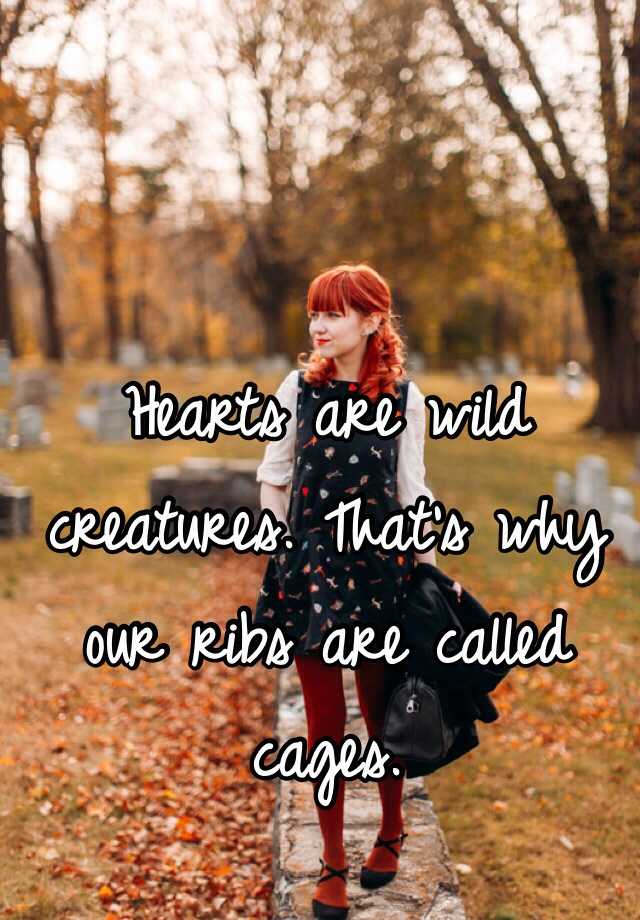 Hearts are wild creatures. That