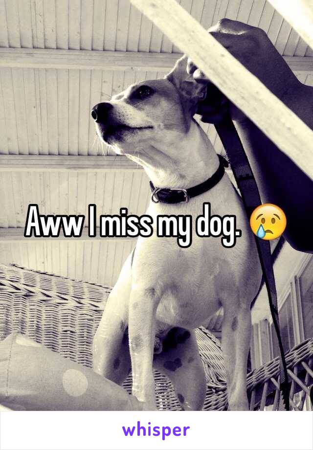 Aww I miss my dog. 😢