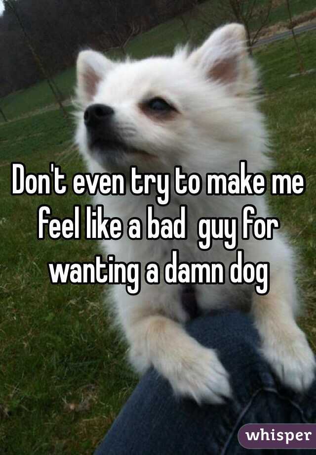 Don't even try to make me feel like a bad  guy for wanting a damn dog