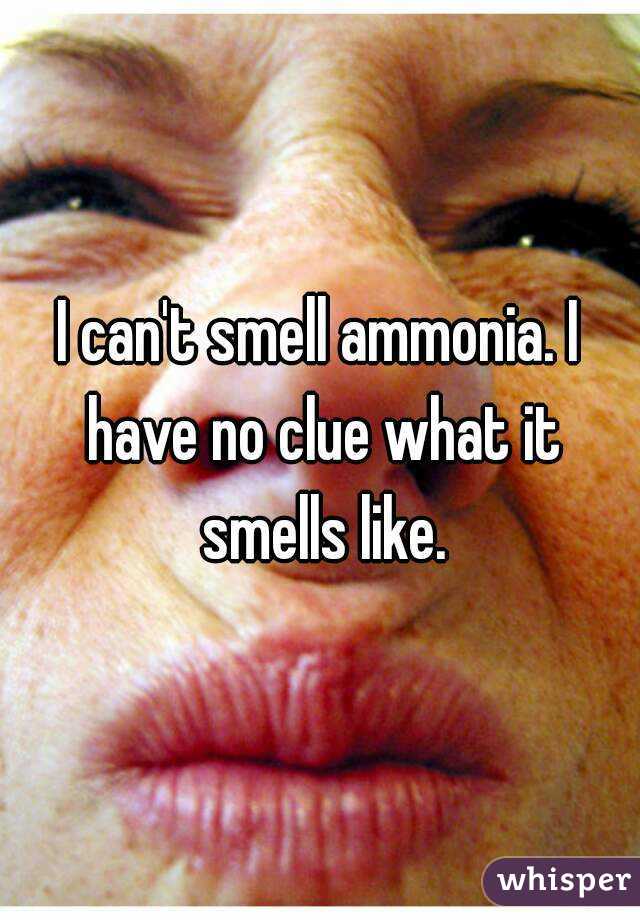 I can't smell ammonia. I have no clue what it smells like.