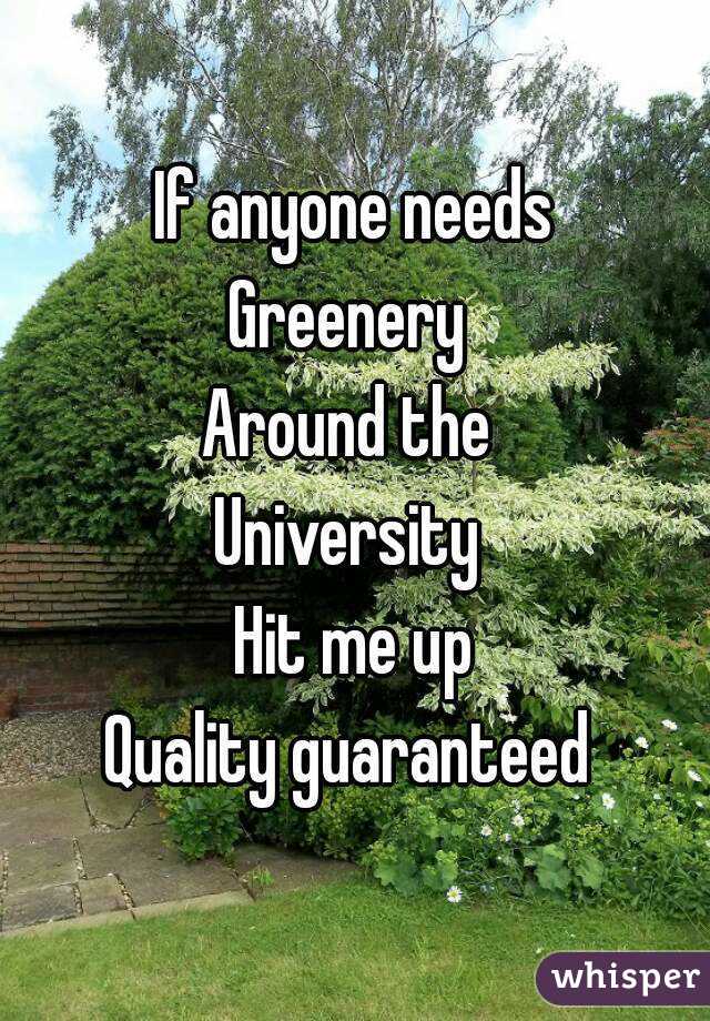 If anyone needs
Greenery 
Around the 
University 
Hit me up
Quality guaranteed 