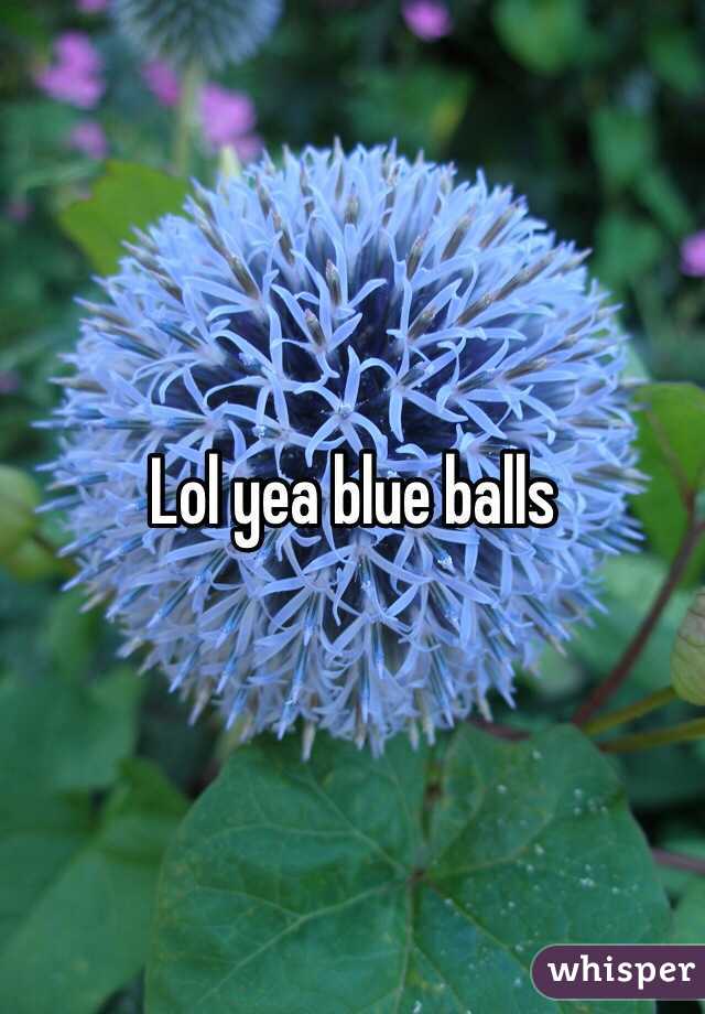 Lol yea blue balls
