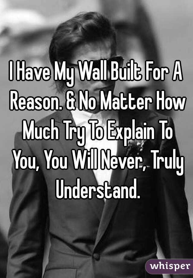 I Have My Wall Built For A Reason. & No Matter How Much Try To Explain To You, You Will Never, Truly Understand.