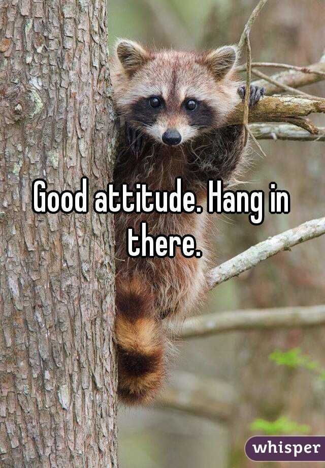 Good attitude. Hang in there.